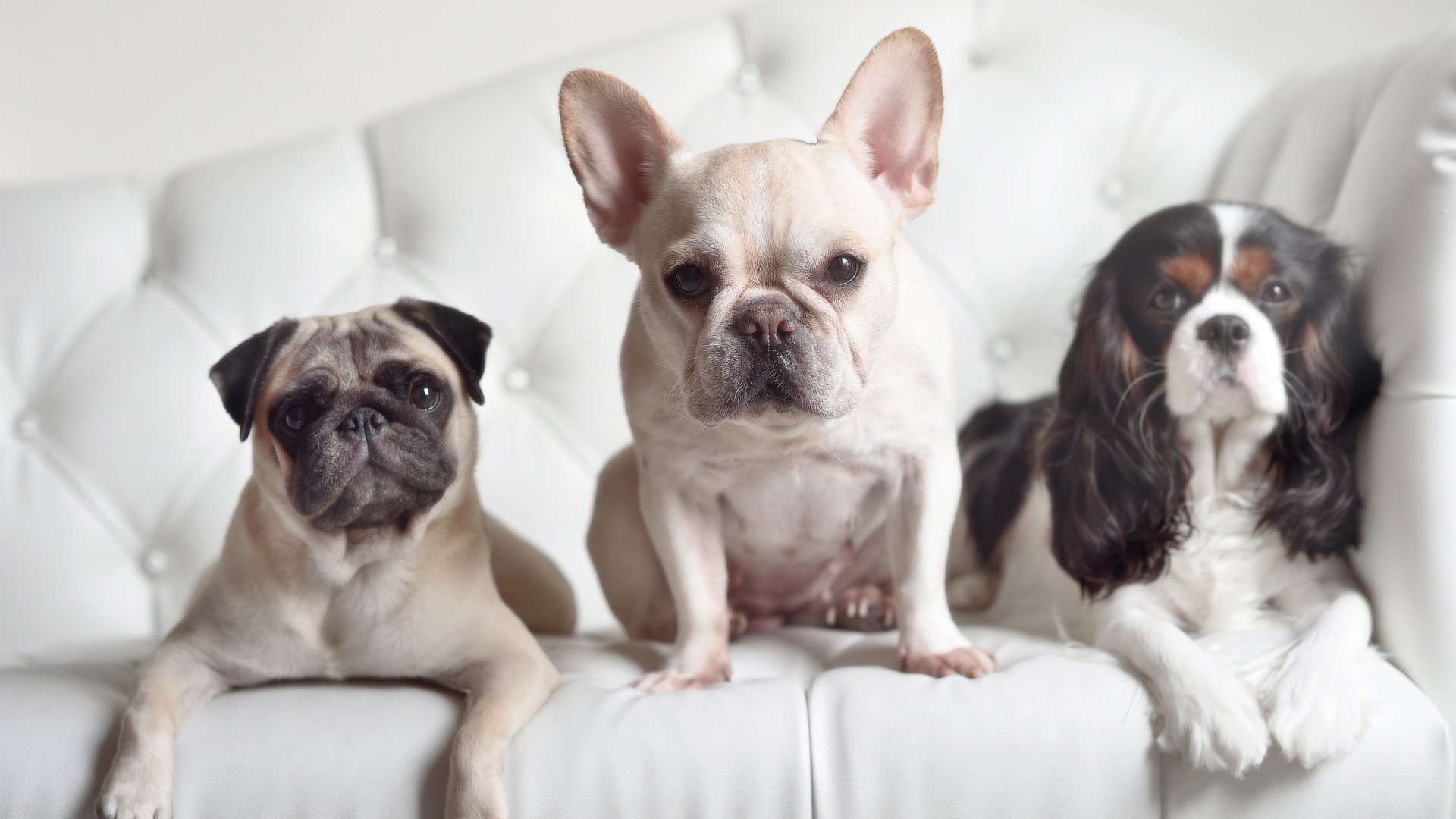 FB体育登录入口-_创新篮球训练基地：未来篮球巨星的摇篮_，创星篮球训练营