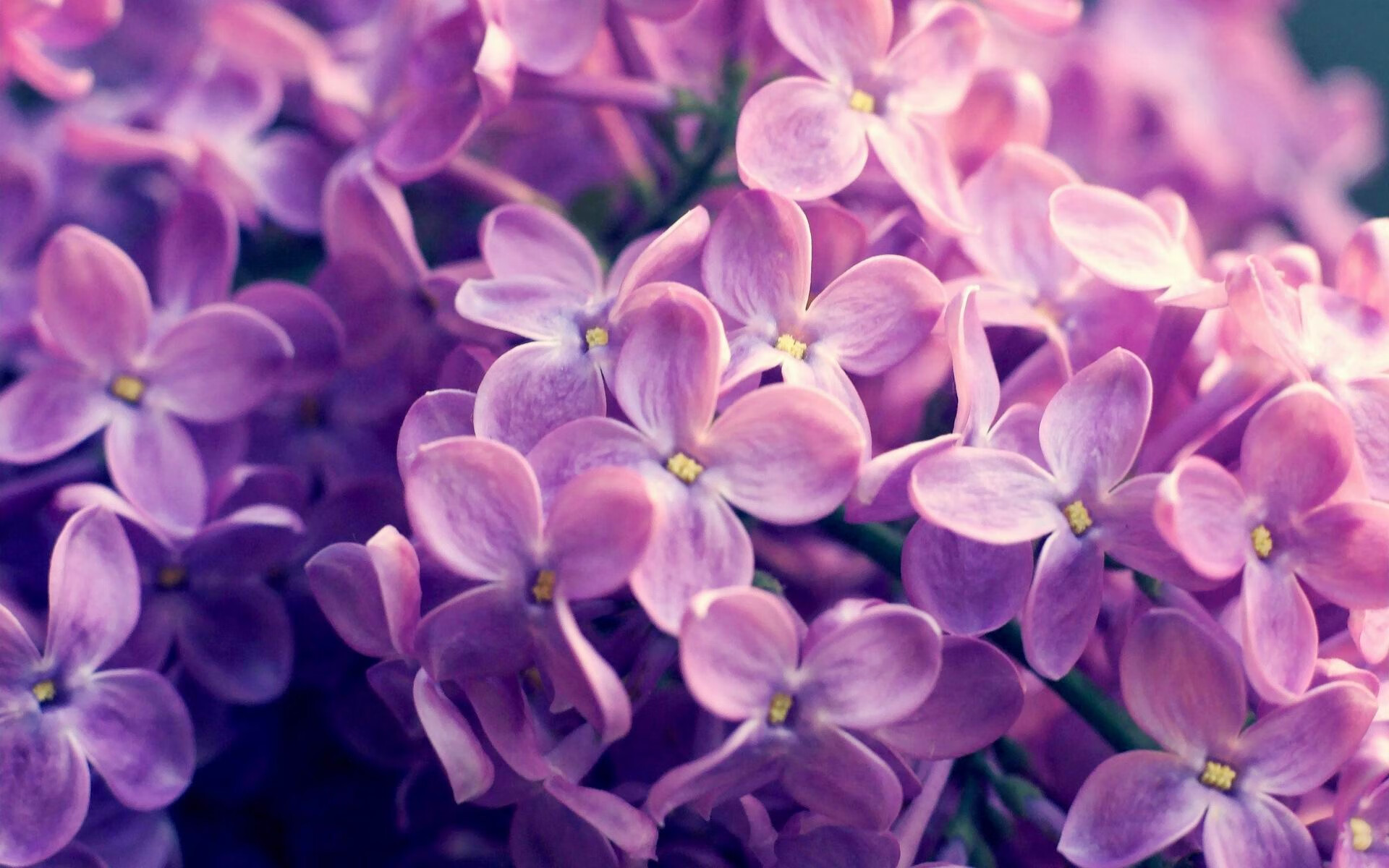 FB体育官方-伊朗骑手阿里·巴赫蒂亚里在巴黎奥运会上首次亮相,尽管未能晋级,但表现积极。