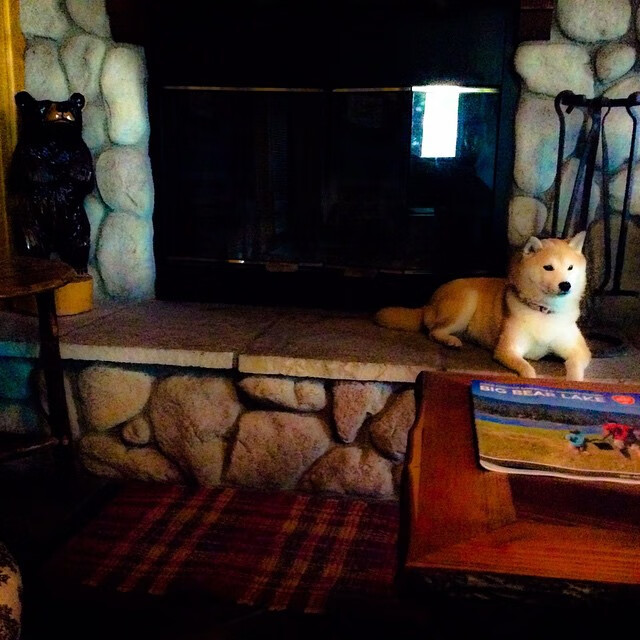 FB体育娱乐-卢克·利特勒在英超飞镖联赛中打破个人得分纪录