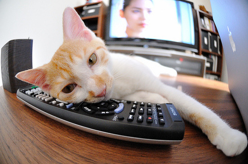 fb体育官网首页-哥伦比亚女足在巴黎奥运会上击败多支强队，哥伦比亚男足