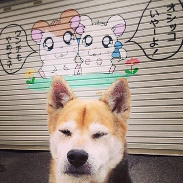 fb体育全站-球员代表队访谈透露更衣室氛围积极，球队更衣室文化