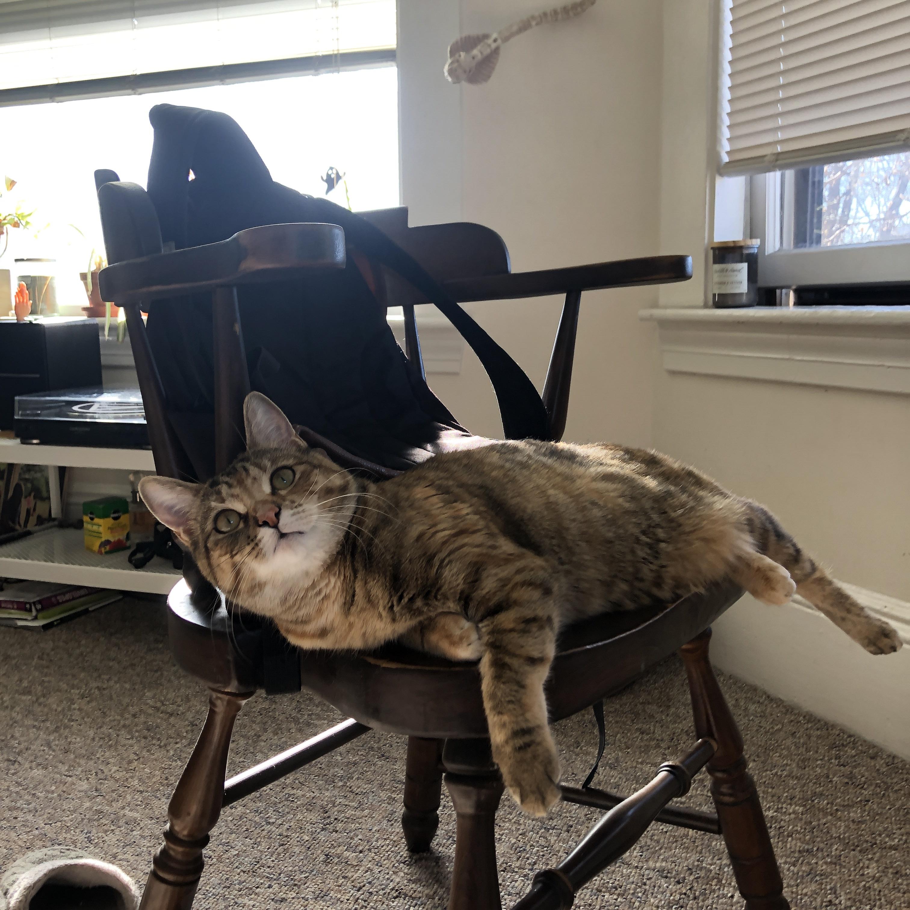 FB体育注册网址-社会媒体热议：台球精彩瞬间集锦，台球片段