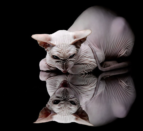 fb体育网址-西甲引入全新数据分析系统，提升战术效率，西甲loading