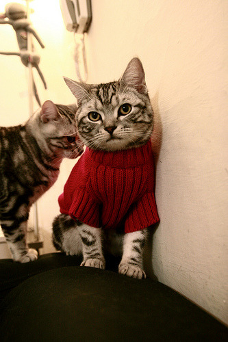 FBSPORTS-佛罗伦萨中场球员送出精准传球，帮助球队锁定胜局，佛罗伦萨队 传奇