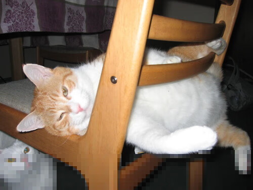 fb体育app官网-卡塔尔巴林世界杯预选赛开幕，球迷热情观战，世界杯预选赛巴林vs伊拉克直播