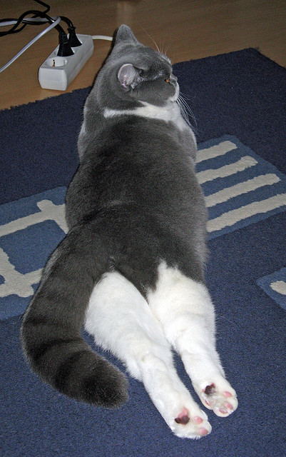 FB体育注册网址-摩洛哥队备战国际比赛，磨合阵容，摩洛哥国家队最新大名单