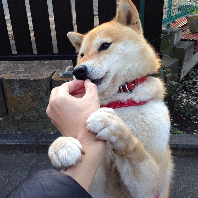 fb体育官网首页-“举重赛事：高新体育中心赛场见证选手不屈的意志与爆发力”