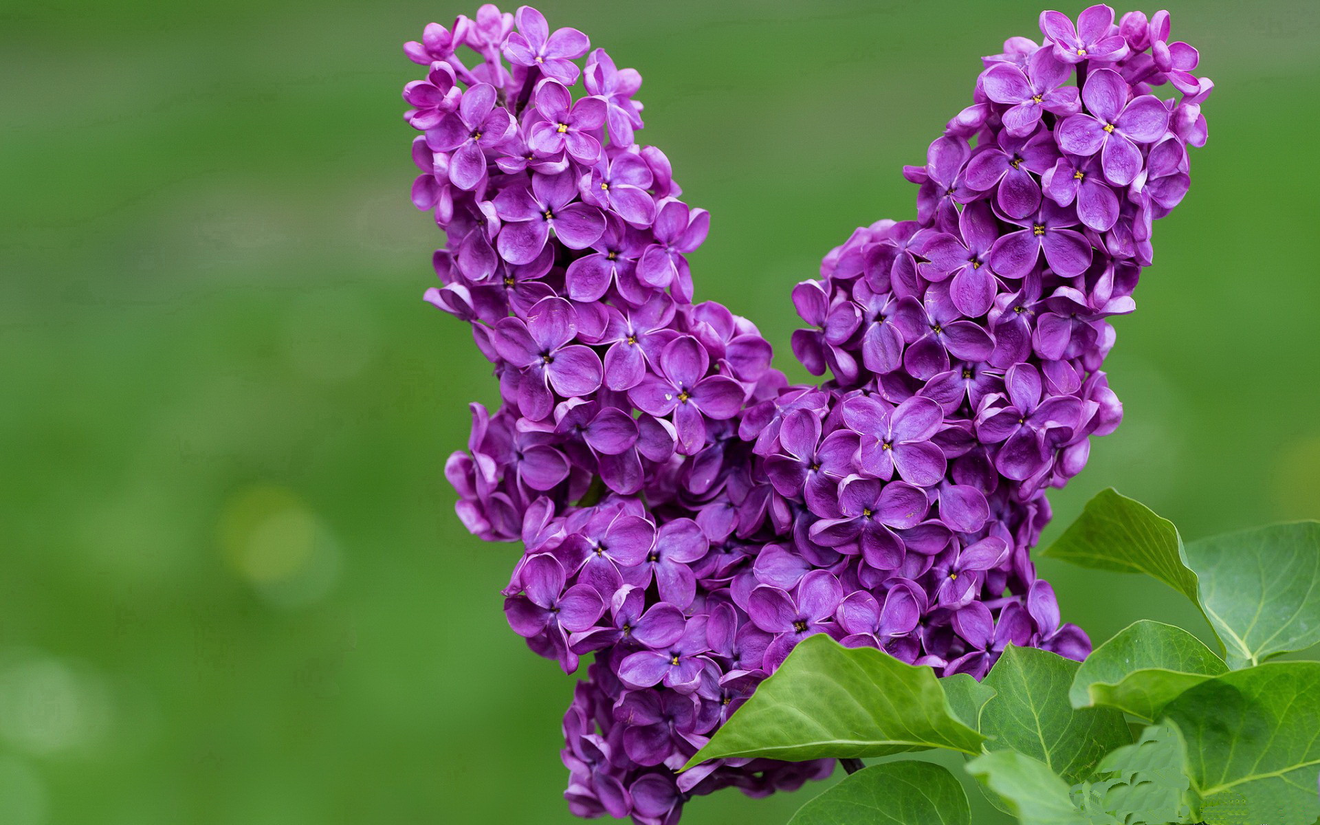 FB体育登录入口-“阿尔希拉尔多方持股引发参赛资格风波”