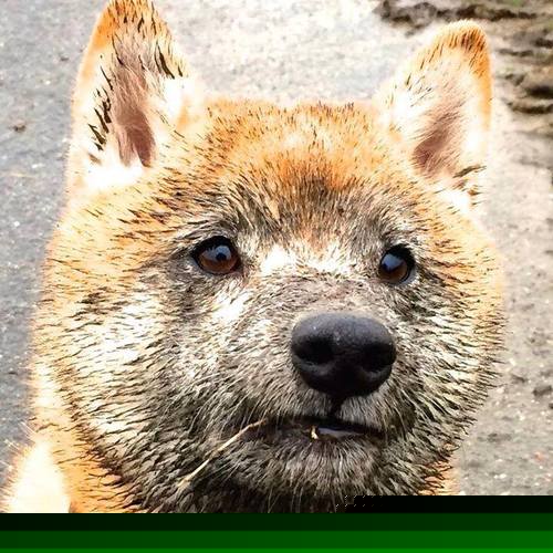 FB体育app下载-体育新闻中心推动建立全国体育内容出版审核共享机制，体育新闻机构